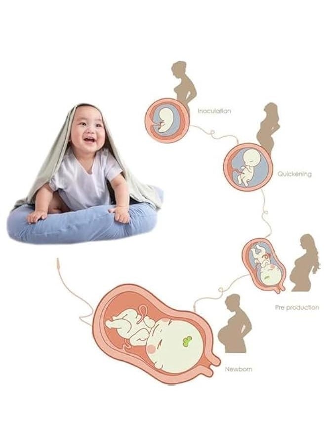 Baby Lounger Cover Soft Removable Slipcover Newborn Lounger Cover Infant Floor Seat Cover Lounger Pillow Case Fitted Most Baby Nest Loungers for Boys and Girls (Blue, Other)