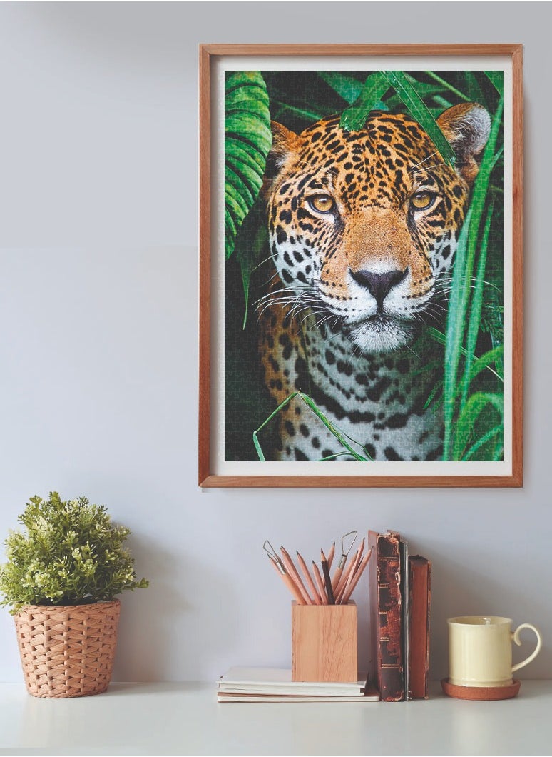 Clementoni Puzzle HQC Jaguar in the Jungle 500 Pieces | Jigsaw Puzzle | Children's Puzzle | Kids & Adults Puzzle | Preschool Learning Toys | Develops Problem Solving Skills | Stress Reliever Toy | Made in Italy