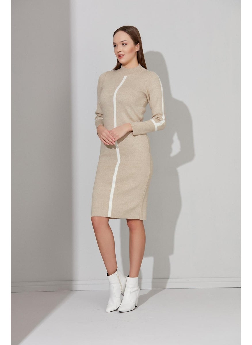 Alexandergardı Half Neck Knitwear Dress (A90994-S)