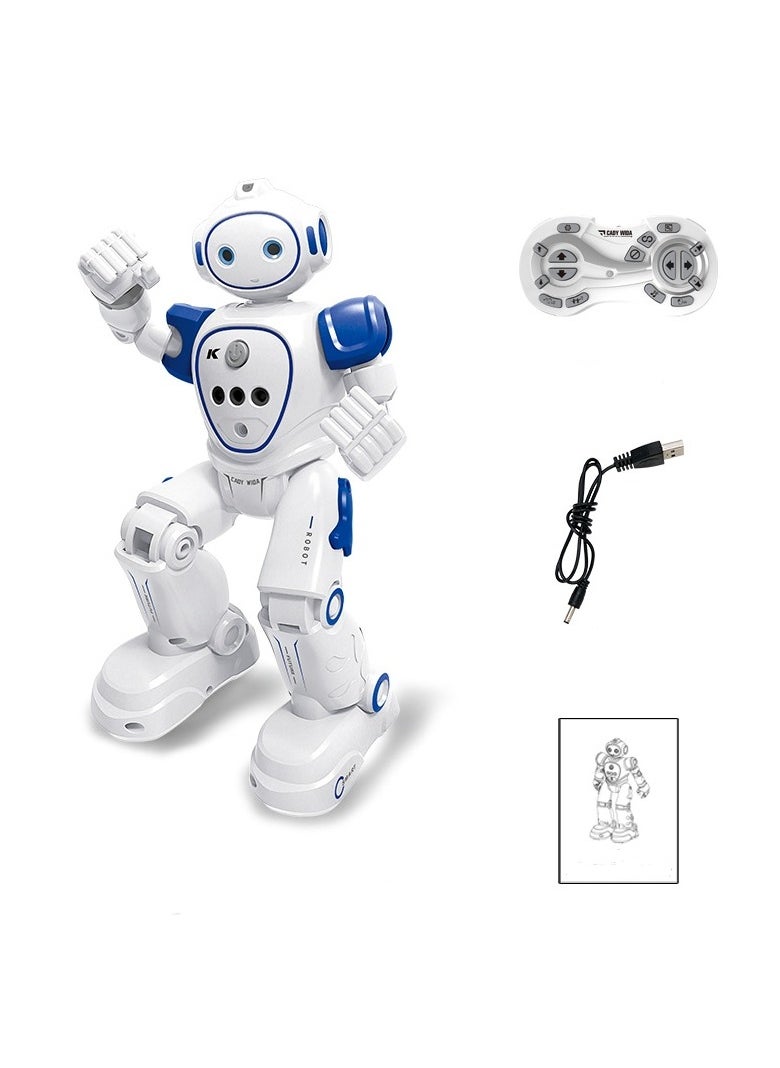 Intelligent Remote Robot With Gesture Sensing,Programmable