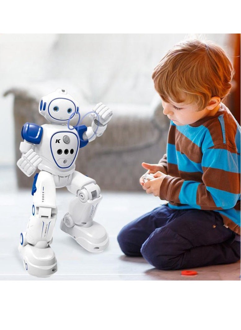 Intelligent Remote Robot With Gesture Sensing,Programmable