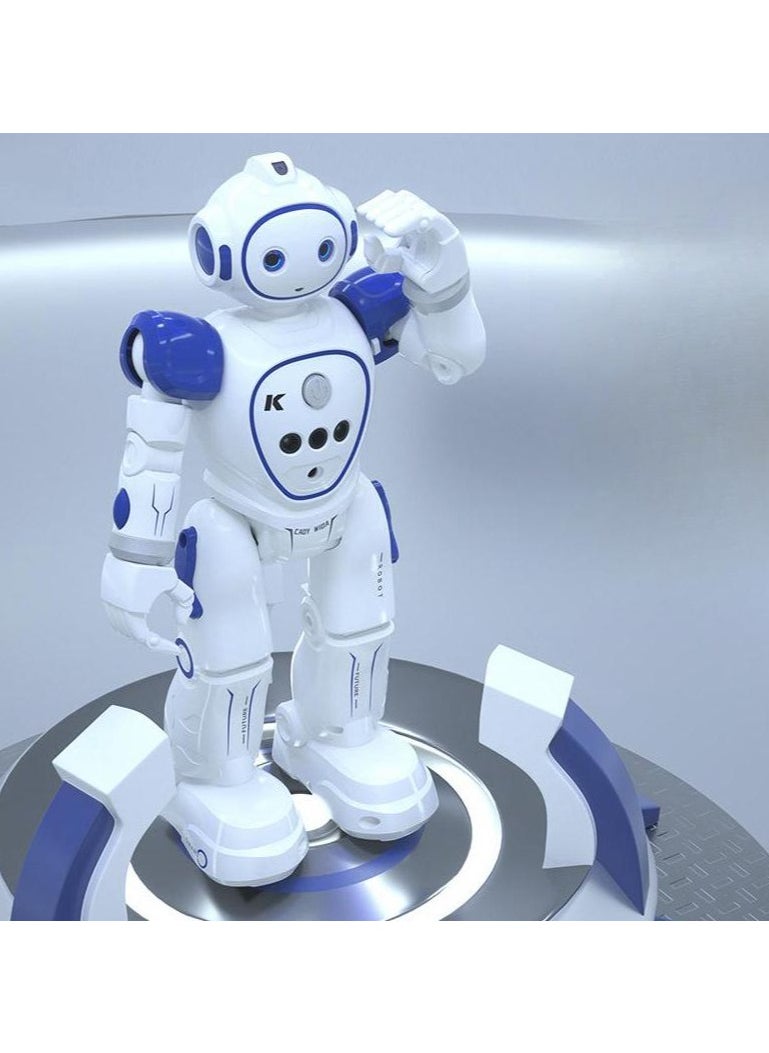 Intelligent Remote Robot With Gesture Sensing,Programmable