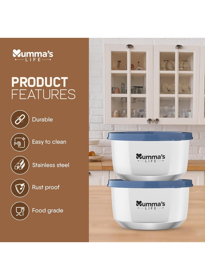 Mumma's LIFE- Stainless Steel Lunch Box Set of 2 (280 ml Each) with Insulated Lunch Bag, Leak Proof Lunch Box for Office & College (Grey)
