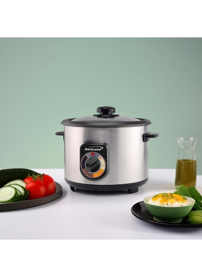 Brentwood Crunchy Persian Rice Cooker, Stainless Steel (5-Cup Uncooked/10-Cup Cooked)