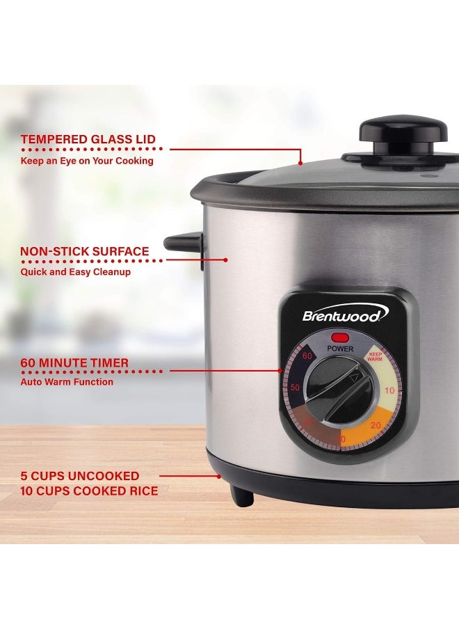 Brentwood Crunchy Persian Rice Cooker, Stainless Steel (5-Cup Uncooked/10-Cup Cooked)