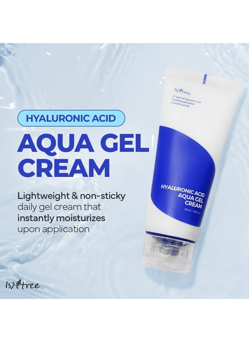 Isntree Hyaluronic Acid Aqua Gel Cream 100ml