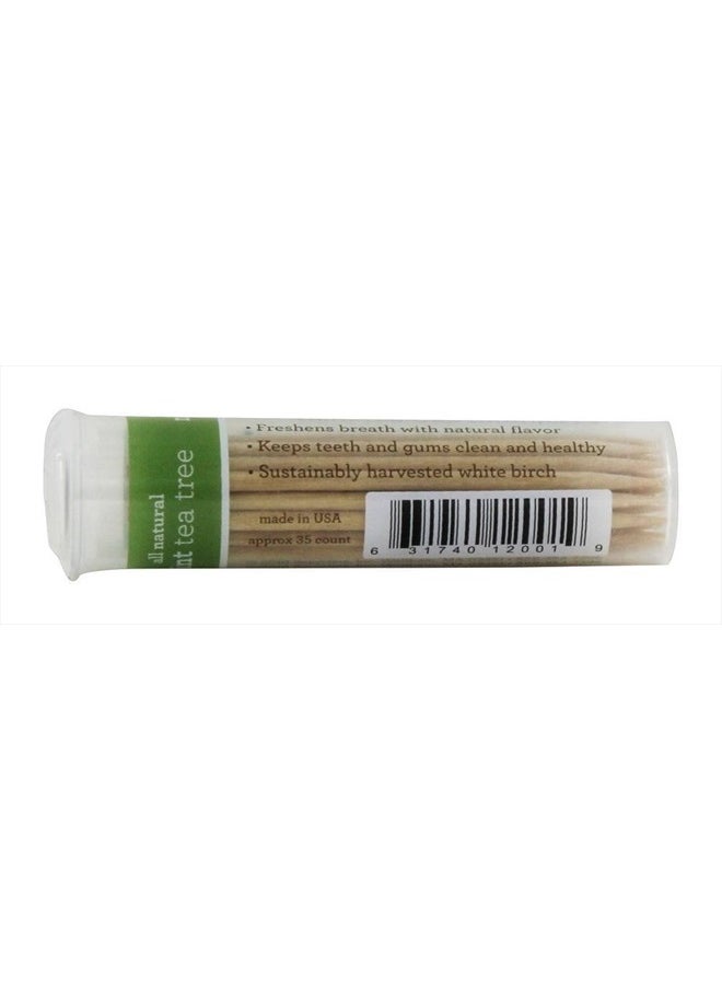 Flavored Toothpicks, Mint Tea Tree, 35 Count