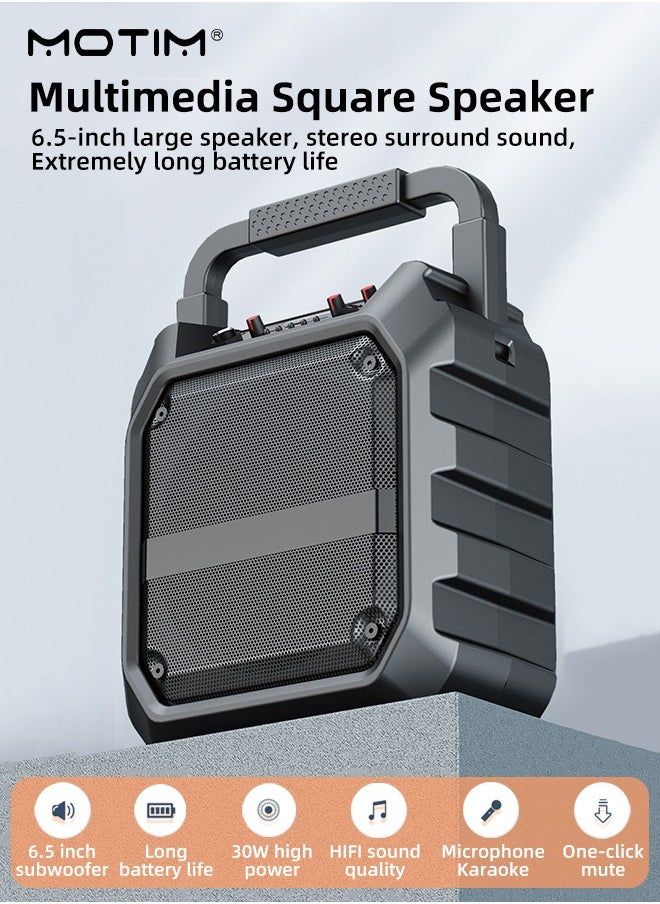 Multimedia Portable Speaker Karaoke Machine With 2 Microphones, TF/AUX/U Stick/Bluetooth/Wireless Mic Function, Type C Charging