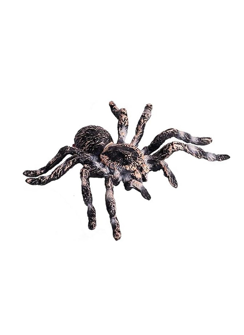 Realistic Animal Figures - Spider Action Model Lifelike Insect Toy Figures - Educational Learning Toys Birthday Set for Boys Girls Kids Toddlers (Giant Whiteknee)