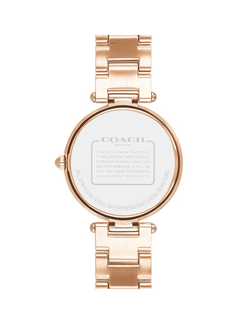 Park Analog Watch