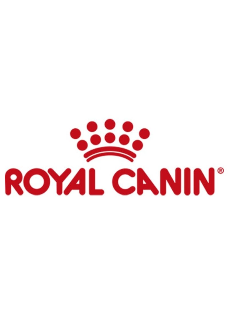 Royal Canin Veterinary Recovery | 12 x 195 g | Complete Dietary Food for Adult Dogs and Cats | Ultra Soft High Protein Foam