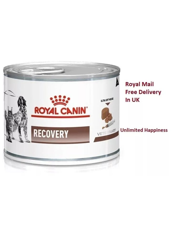 Royal Canin Veterinary Recovery | 12 x 195 g | Complete Dietary Food for Adult Dogs and Cats | Ultra Soft High Protein Foam