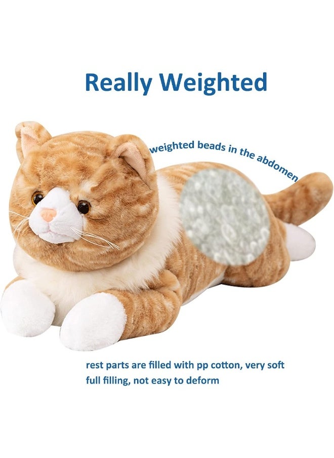 Cat Plush Toy Realistic Cat Weighted Plush Animals Pillow Cute Kitten Plush Toy 50CM