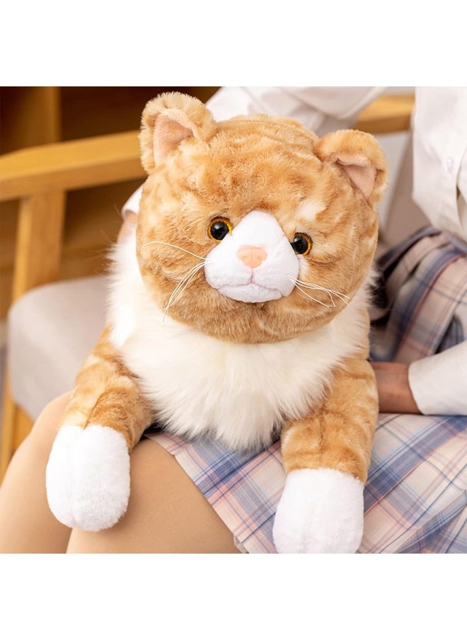 Cat Plush Toy Realistic Cat Weighted Plush Animals Pillow Cute Kitten Plush Toy 50CM