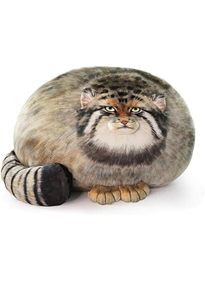 Steppe Cat Plush, Cat Stuffed Animal 35cm/14inch, Pallas Cat Plush Pillow, Cute Plushies for Girls, Soft Plush Pillow, Throw Pillow Doll Decoration Doll Gift for Kids Boys Party