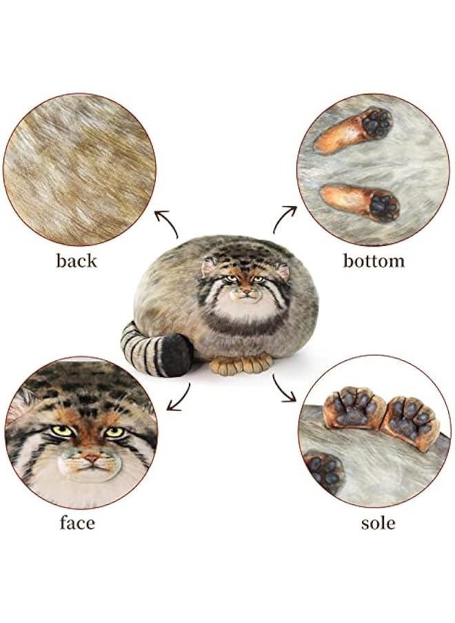 Steppe Cat Plush, Cat Stuffed Animal 30cm/12inch, Pallas Cat Plush Pillow, Cute Plushies for Girls, Soft Plush Pillow, Throw Pillow Doll Decoration Doll Gift for Kids Boys Party
