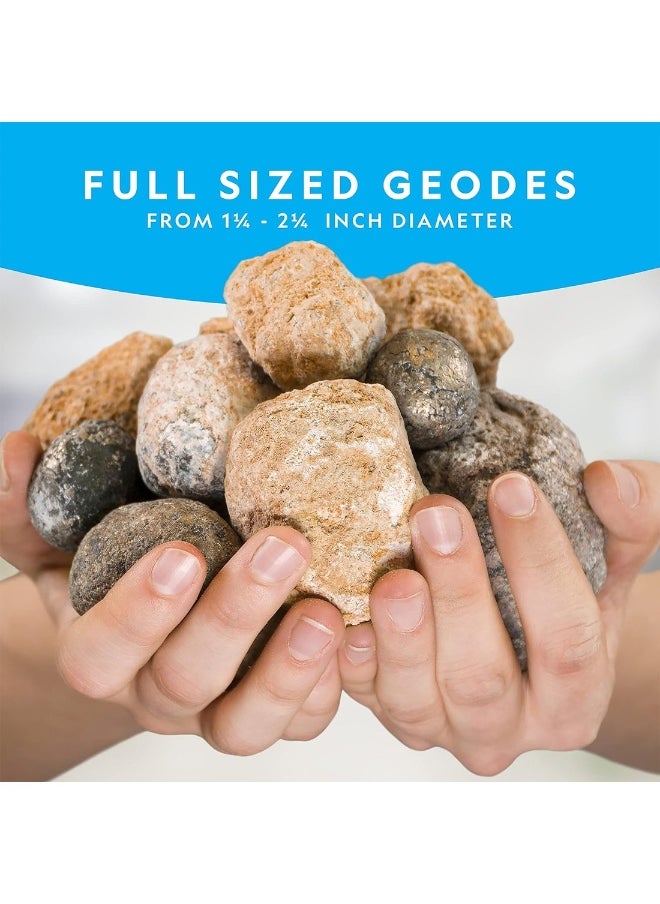 Break Open 10 Premium Geodes Includes Goggles And Display Stands Great STEM Science Kit Geology Gift For Kids