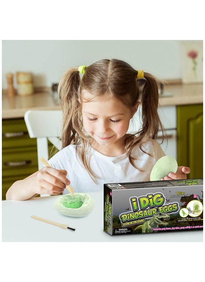 12 Pack Glow In The Dark Dinosaur Excavation Kit For Kids Educational STEM Fossil Digging Egg Activity Dig Up And Discover Real Dino