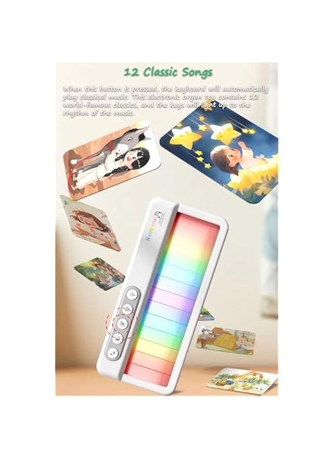 Touch-Screen Electronic Organ Toy, Portable Electronic Keyboard Electronic Organ for Beginners, Kids and Adult with 5 Musical Instruments Effects, 12 Classics, 3 Lights Display Effects