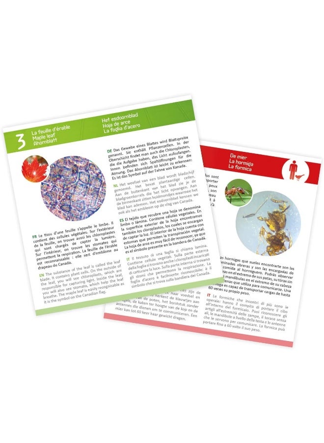 BUKI Microscope Sample Slides Set