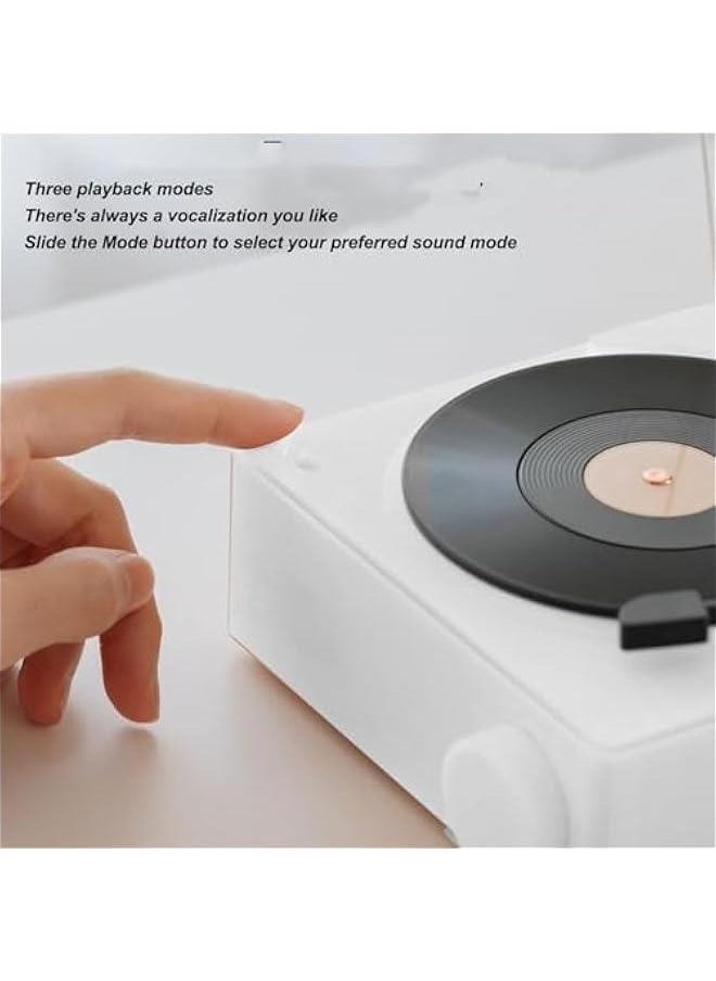 Record Player, Record Player with Speakers, Bluetooth 5.0, Alarm Clock Function, Upgraded Turntable Audio Sound, and Sound Cable Connection, Memory Card Insertion