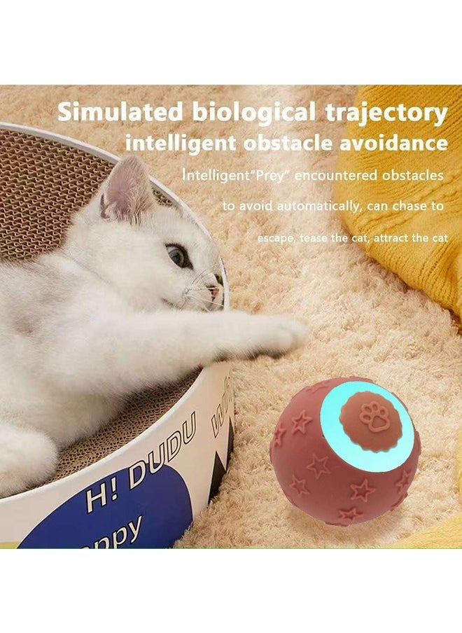 Desert Breeze Interactive Cat Ball - Self-Propelled Chew-Proof Kitten Toy (Terracotta Red)