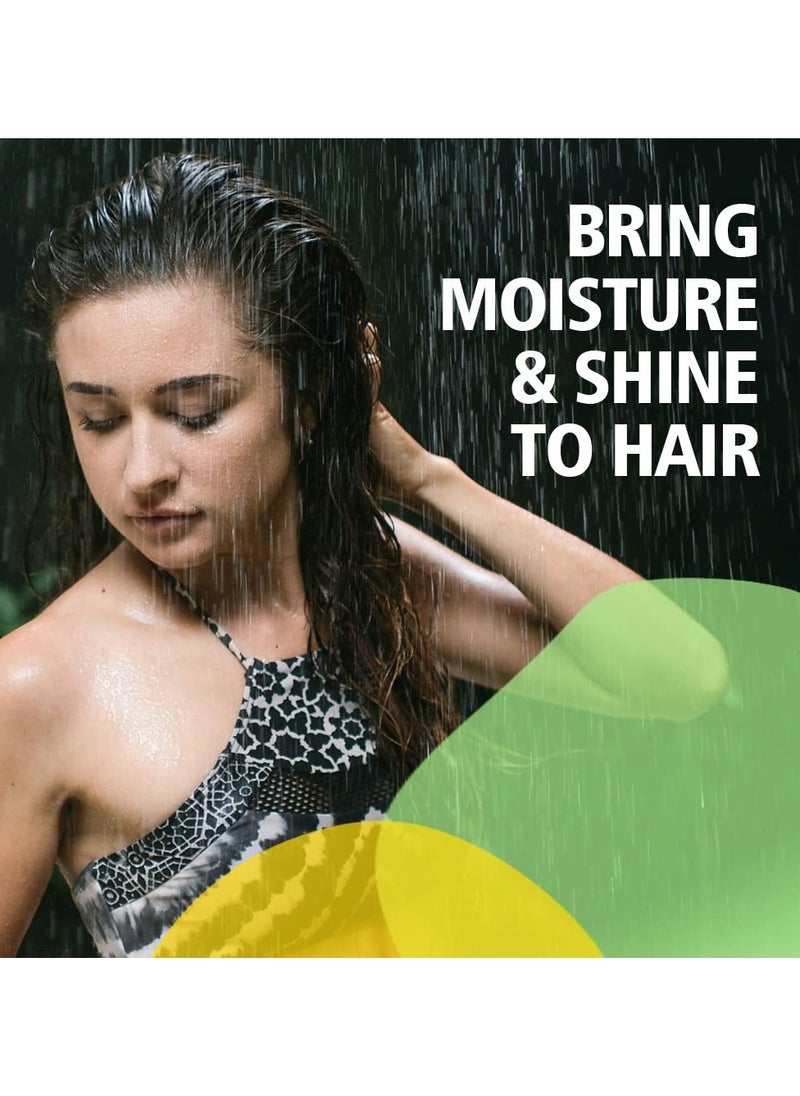 Herbals New & Improved pH Balanced Arnica Shampoo For Soft, Lustrous & Healthy Hair | Cantharis gives a Cool & Healthy Scalp | Brings Back Moisture & Shine With Fragrant Hair, 500 ml