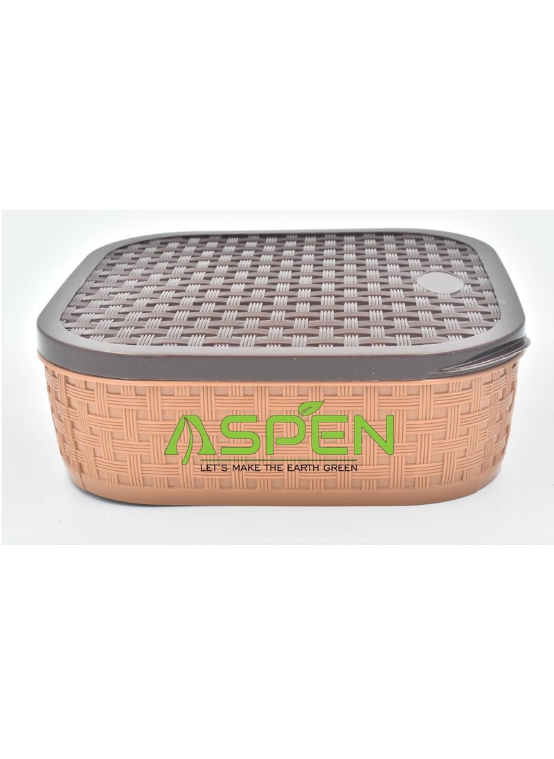 ASPEN Plastic Masala Box