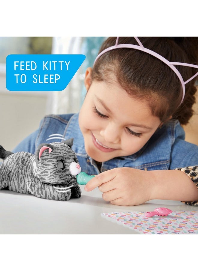 furReal Newborns Kitty Interactive Pet, Small Plush Stuffed Animal Cat with Sounds and Movement, Kids Toys for Ages 4 Up by Just Play