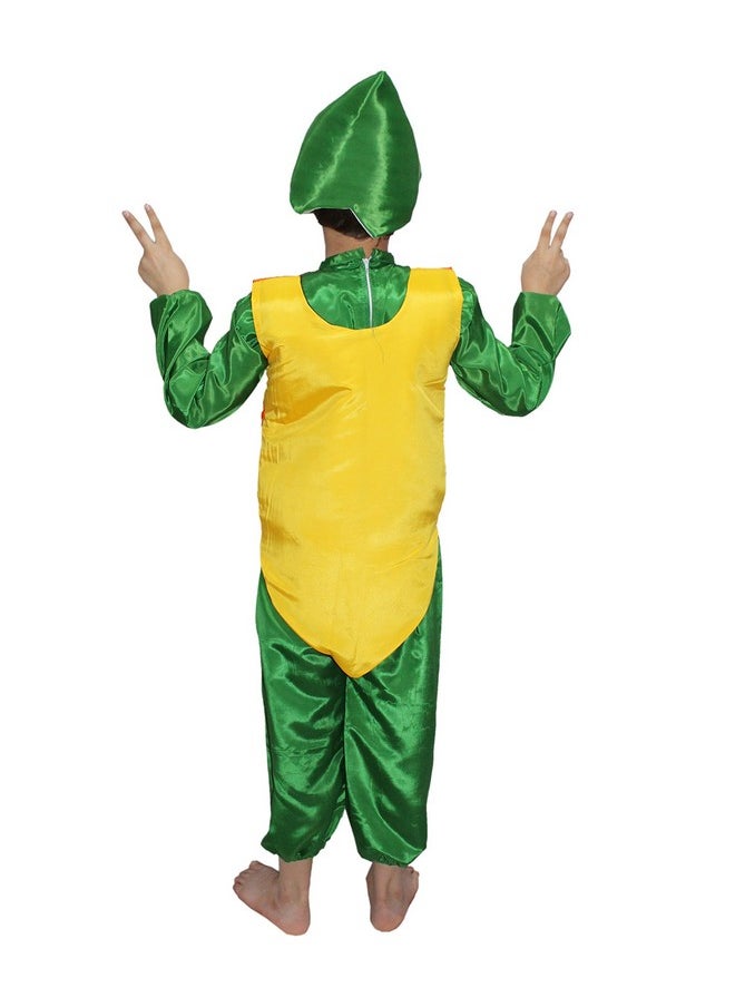 Kaku Fancy Dresses Polyester Papapya Fruit Costume Cutout with Cap -Orange-Green, 3-8 Years, for Boys & Girls
