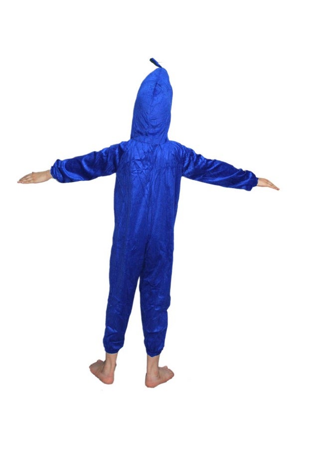 Kaku Fancy Dresses Polyester Peacock National Bird Costume -Multicolour, 7-8 Years, For Boys & Girls