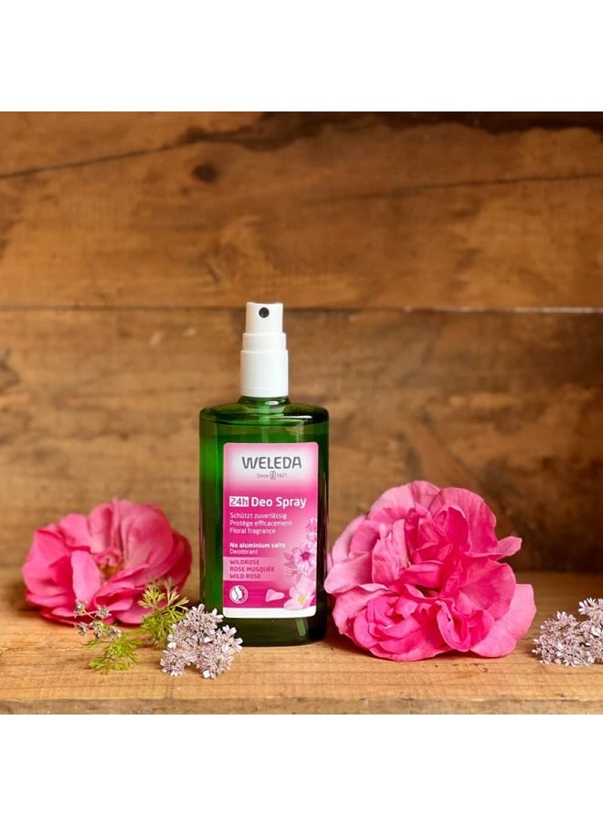 Weleda Wild Rose 24h Deodorant Spray, 3.4 Ounce