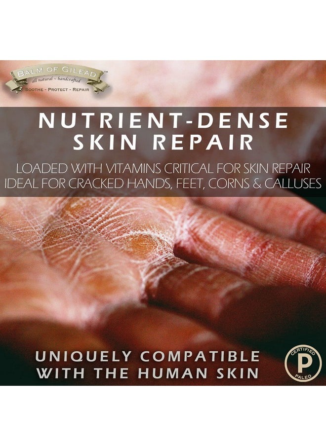 Tea Tree Balm - Foot Cream with Tea Tree and Manuka Oil, Intensive Moisture for Itchy Feet, Softens Skin Irritations, Balm for Eczema, Rashes, Dry Skin By Balm of Gilead (2 fl oz)