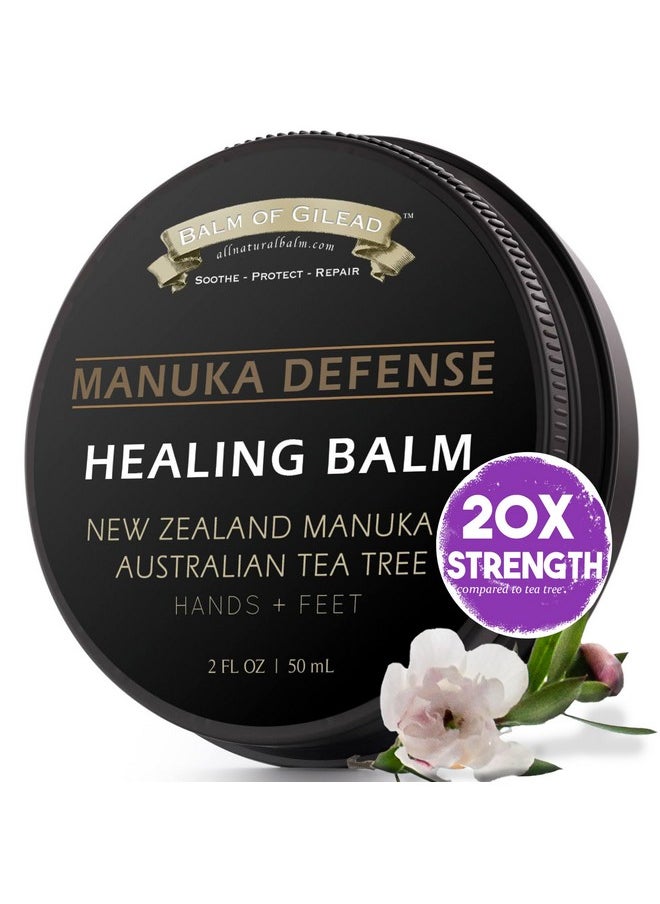 Tea Tree Balm - Foot Cream with Tea Tree and Manuka Oil, Intensive Moisture for Itchy Feet, Softens Skin Irritations, Balm for Eczema, Rashes, Dry Skin By Balm of Gilead (2 fl oz)