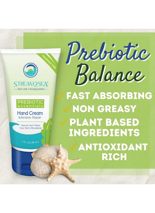 STREAM 2 SEA Unscented Intensive Repair Hand Cream Prebiotic Essentials, Antioxidant Rich Reef Safe Natural and Paraben Free Moisturizing Hand Cream, 3 Fl oz