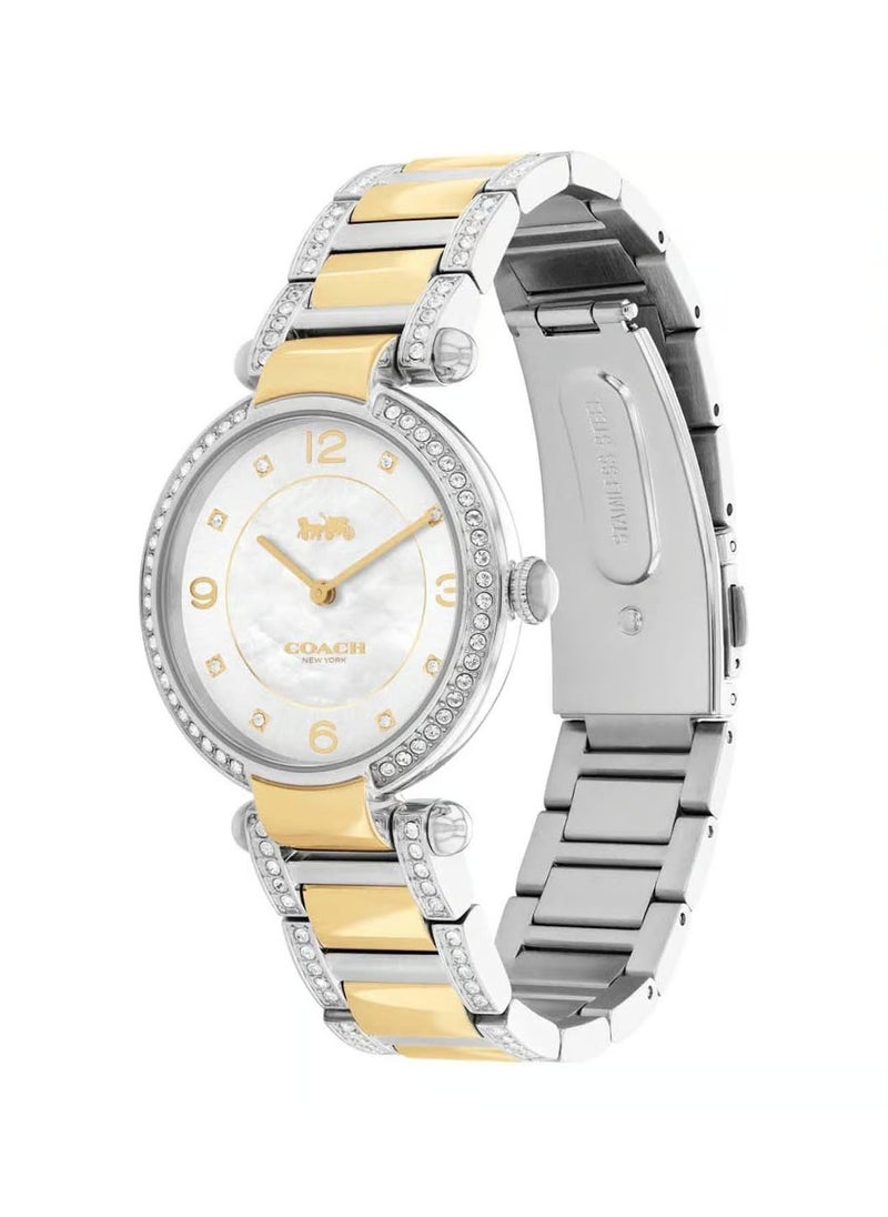 Cary Analog Watch