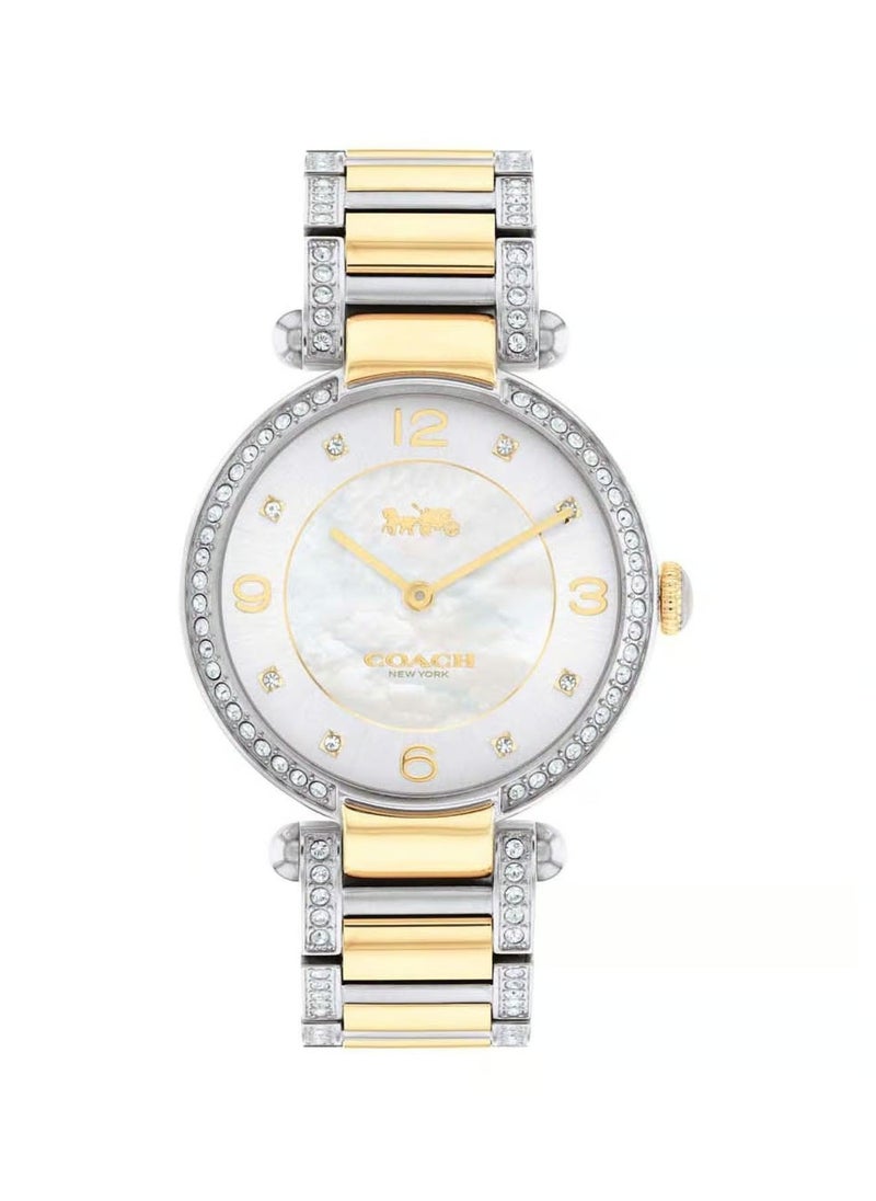 Cary Analog Watch