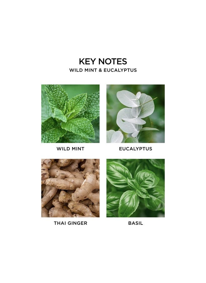 NEST Fragrances Wild Mint & Eucalyptus Liquid Hand Soap 10 Fl Oz (Pack of 1)