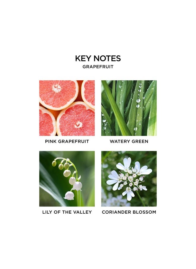 NEST Fragrances Grapefruit Liquid Hand Soap, 10 Fl Oz (Pack of 1)