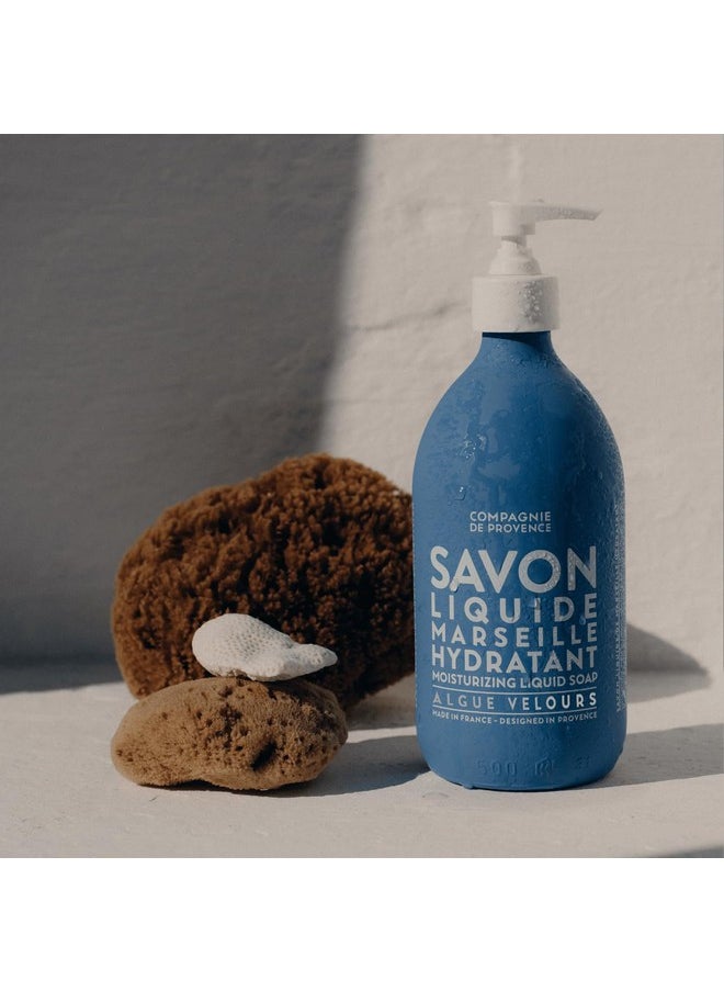 Compagnie de Provence Savon de Marseille Extra Pure Liquid Soap - Velvet Seaweed - 16.7 Fl Oz Glass Pump Bottle