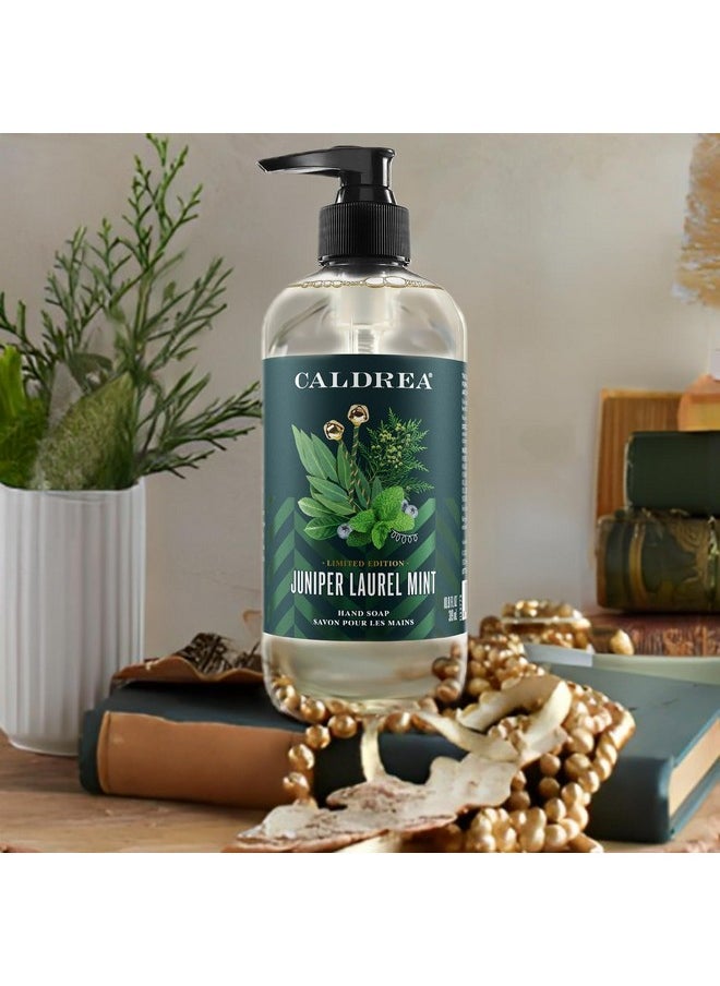 Caldrea Hand Wash Soap, Aloe Vera Gel, Olive Oil and Essential Oils to Cleanse and Condition, Juniper Laurel Mint Scent, 10.8 oz