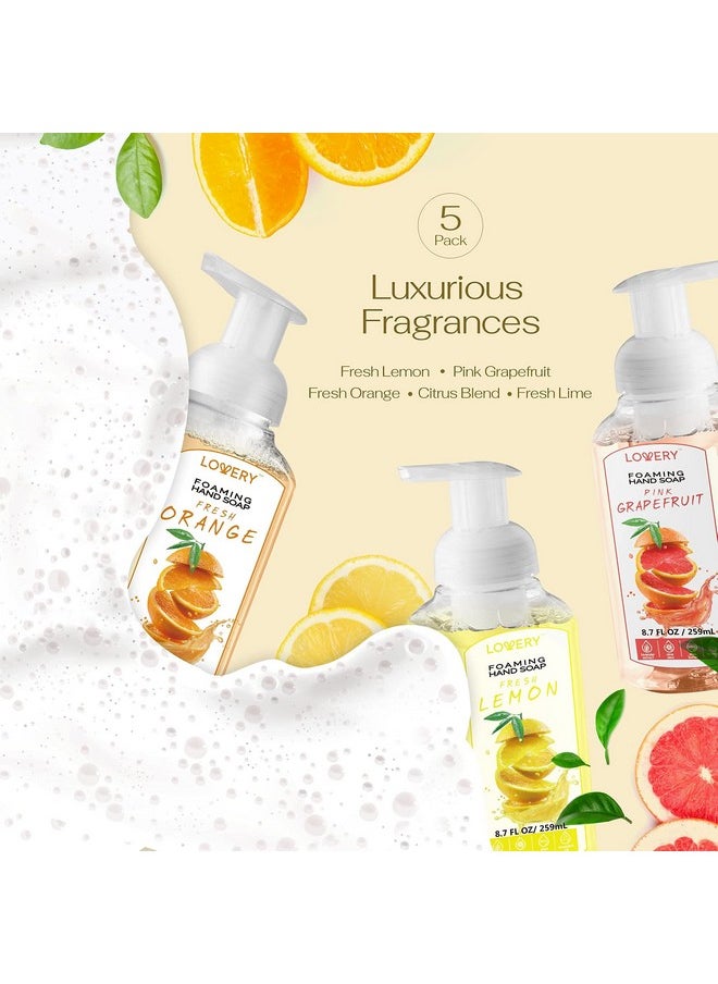 Foaming Hand Soap - Pack of 5 - Moisturizing Hand Soap with Aloe Vera & Essential Oils - Alcohol-Free Hand Wash in Citrus Blend, Lemon, Orange, Lime, Pink Grapefruit Fragrances for Kitchen & Bathroom