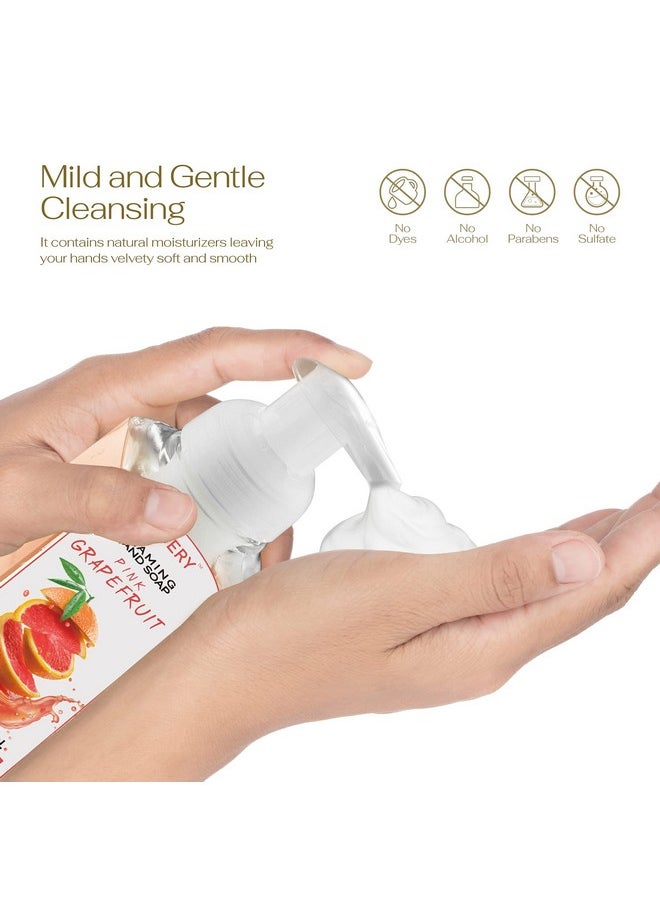 Foaming Hand Soap - Pack of 5 - Moisturizing Hand Soap with Aloe Vera & Essential Oils - Alcohol-Free Hand Wash in Citrus Blend, Lemon, Orange, Lime, Pink Grapefruit Fragrances for Kitchen & Bathroom