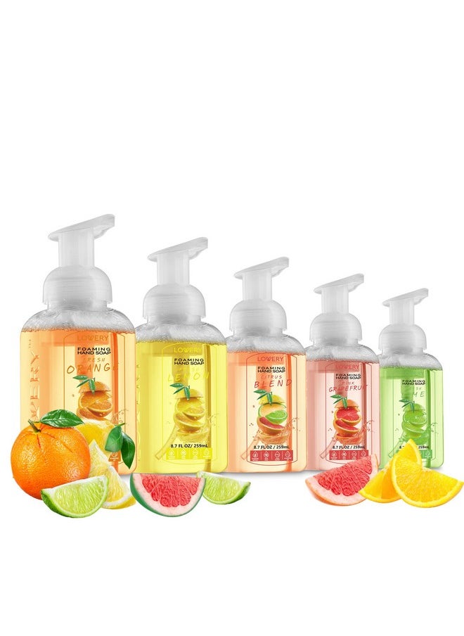 Foaming Hand Soap - Pack of 5 - Moisturizing Hand Soap with Aloe Vera & Essential Oils - Alcohol-Free Hand Wash in Citrus Blend, Lemon, Orange, Lime, Pink Grapefruit Fragrances for Kitchen & Bathroom
