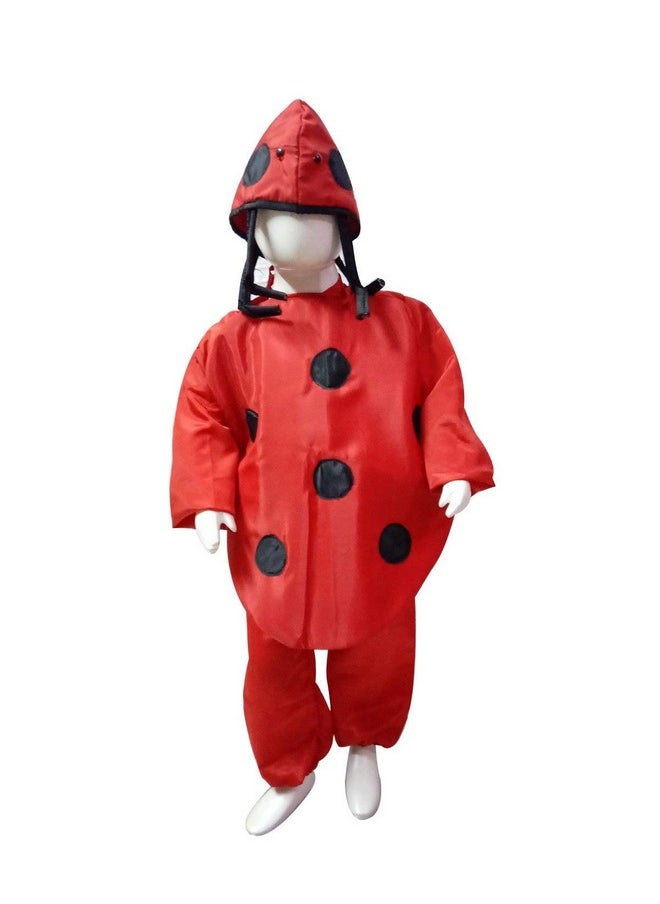 BookMyCostume Ladybug Insects Kids Fancy Dress Costume 6-7 years