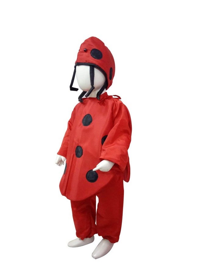 BookMyCostume Ladybug Insects Kids Fancy Dress Costume 6-7 years