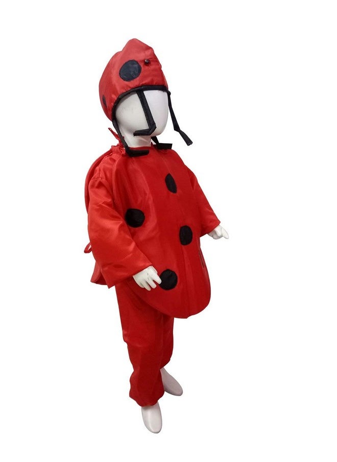 BookMyCostume Ladybug Insects Kids Fancy Dress Costume 6-7 years