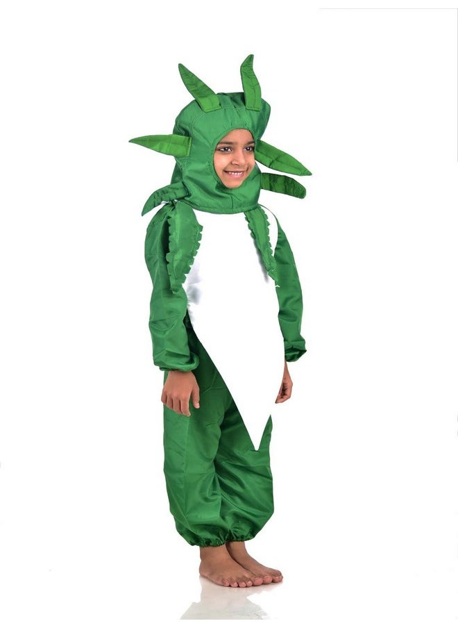 BookMyCostume Radish Mooli Vegetable Kids Fancy Dress Costume 5-6 years