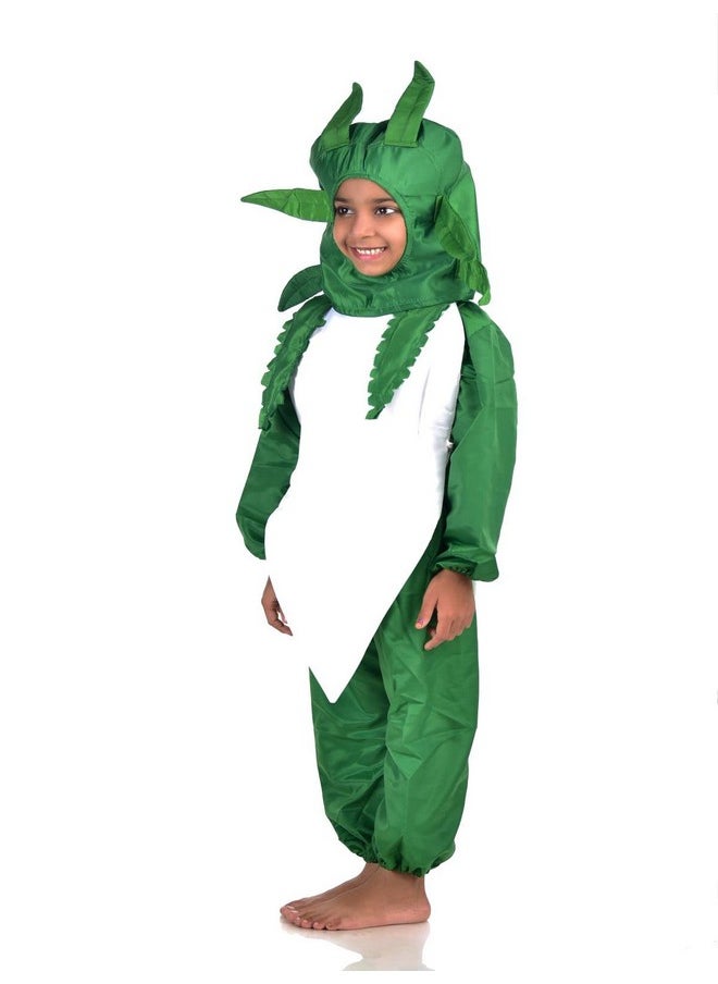 BookMyCostume Radish Mooli Vegetable Kids Fancy Dress Costume 5-6 years