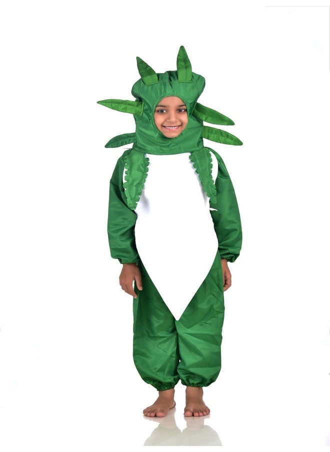 BookMyCostume Radish Mooli Vegetable Kids Fancy Dress Costume 5-6 years